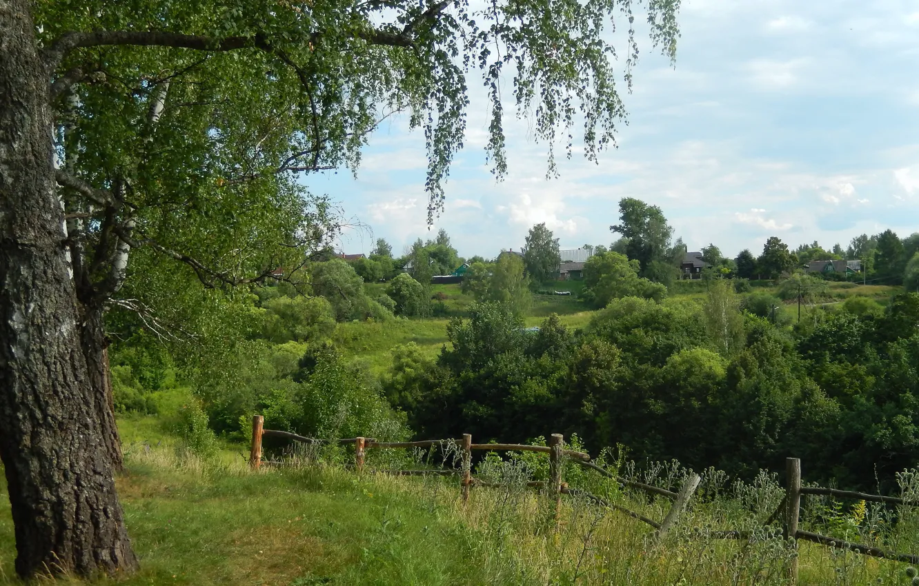 Photo wallpaper the sky, grass, trees, nature, widescreen, Wallpaper, wallpaper, the bushes
