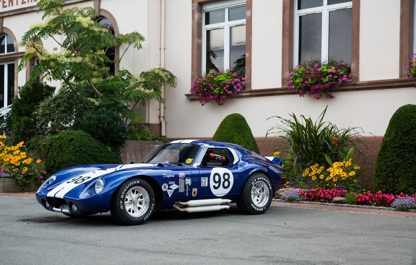 Photo wallpaper shelby, blue, cobra, daytona