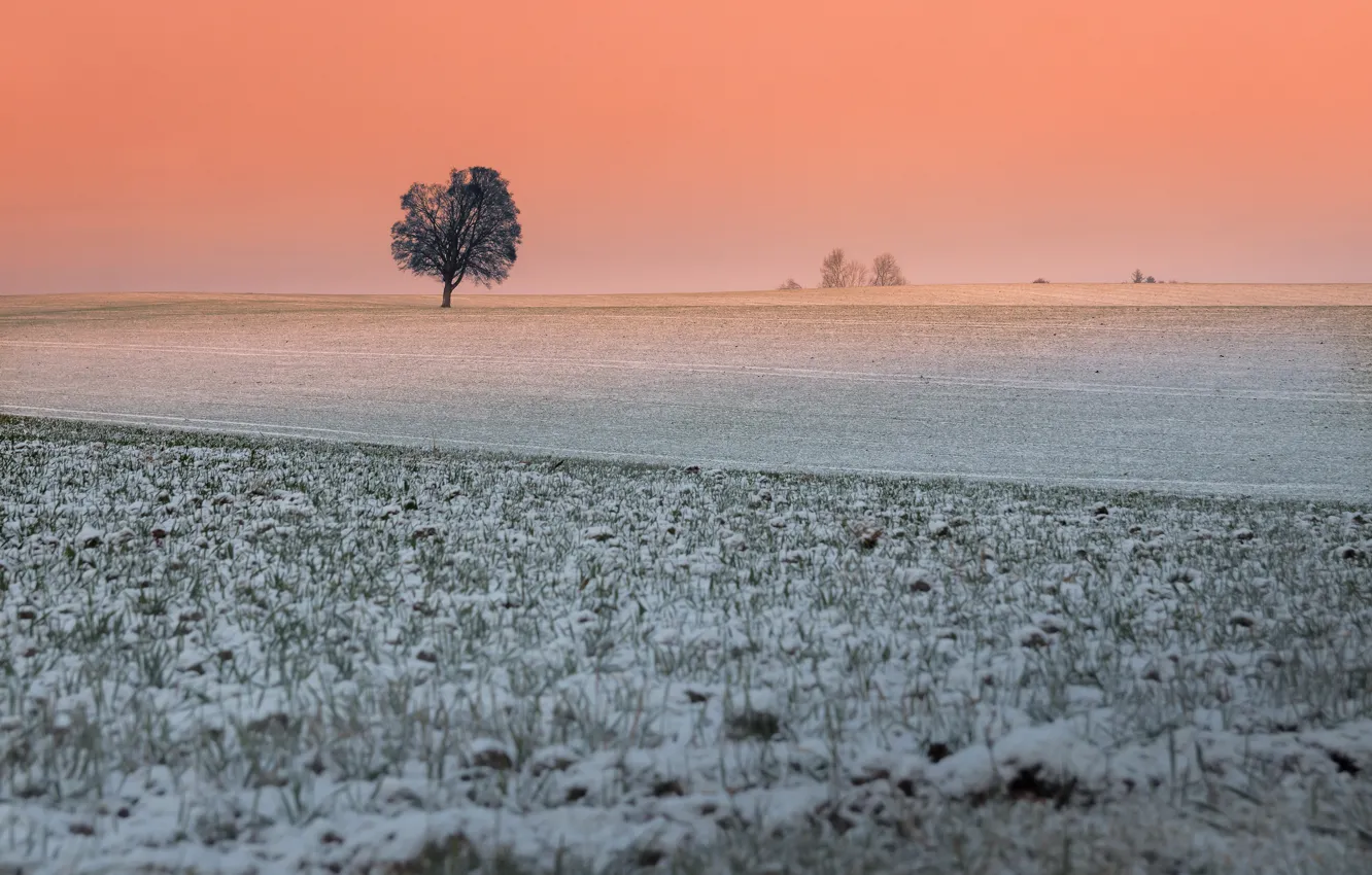 Photo wallpaper winter, field, sunset