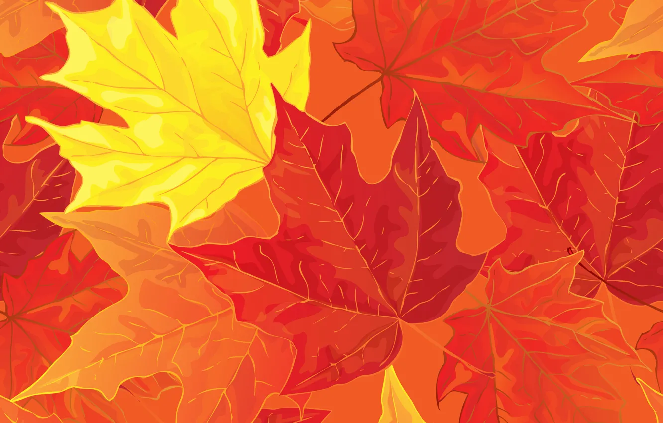 Photo wallpaper leaves, background, autumn, leaves, autumn, fall, maple