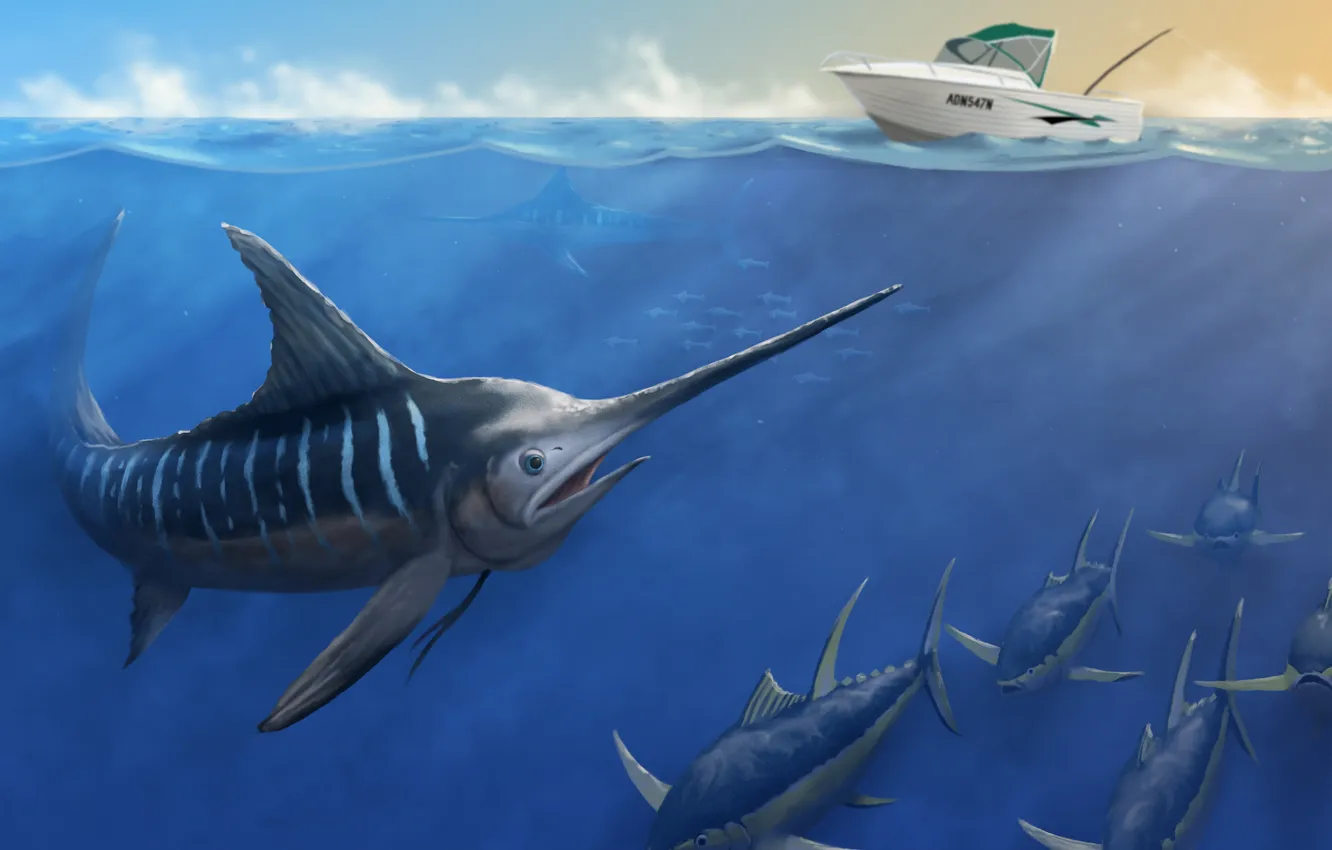 Photo wallpaper sea, fish, boat, a swordfish, swordfish