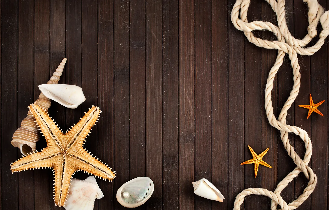 Photo wallpaper rope, shell, pearl, starfish