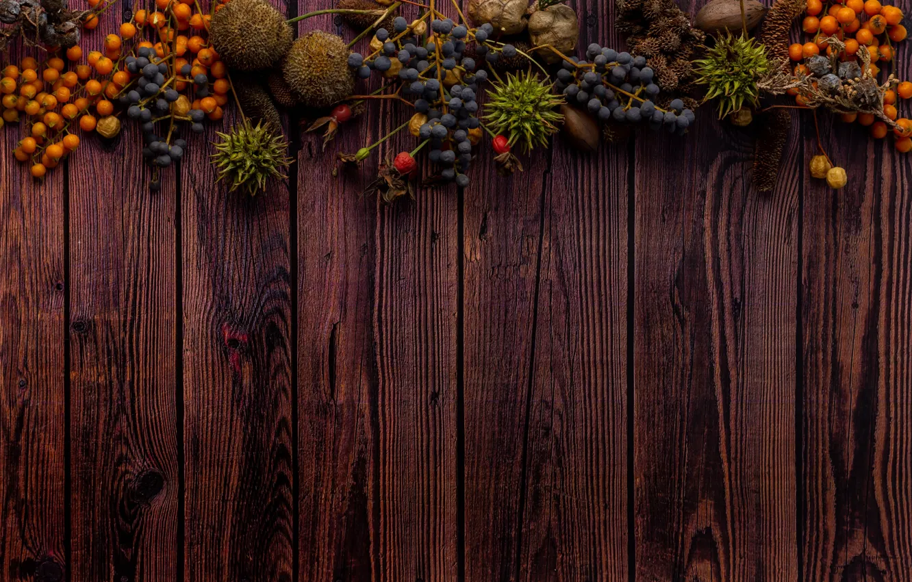 Photo wallpaper autumn, berries, the dark background, Board, plants, texture, fruit, grapes