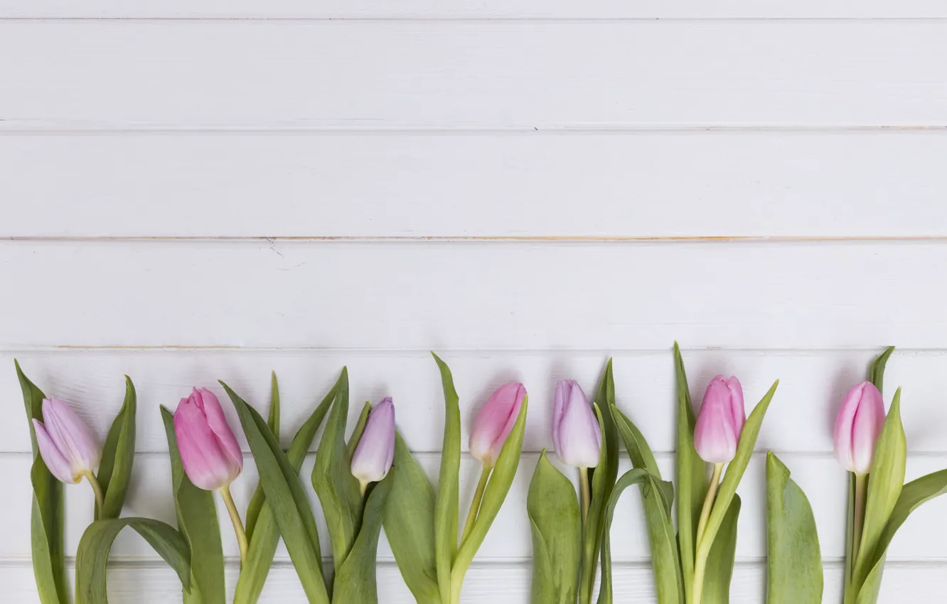 Photo wallpaper flowers, tulips, pink, wood, tulips