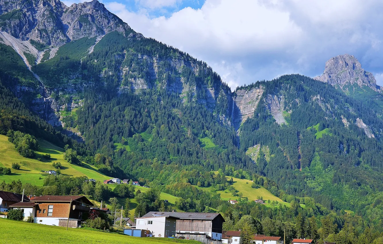 Photo wallpaper greens, forest, the sky, grass, the sun, clouds, trees, mountains