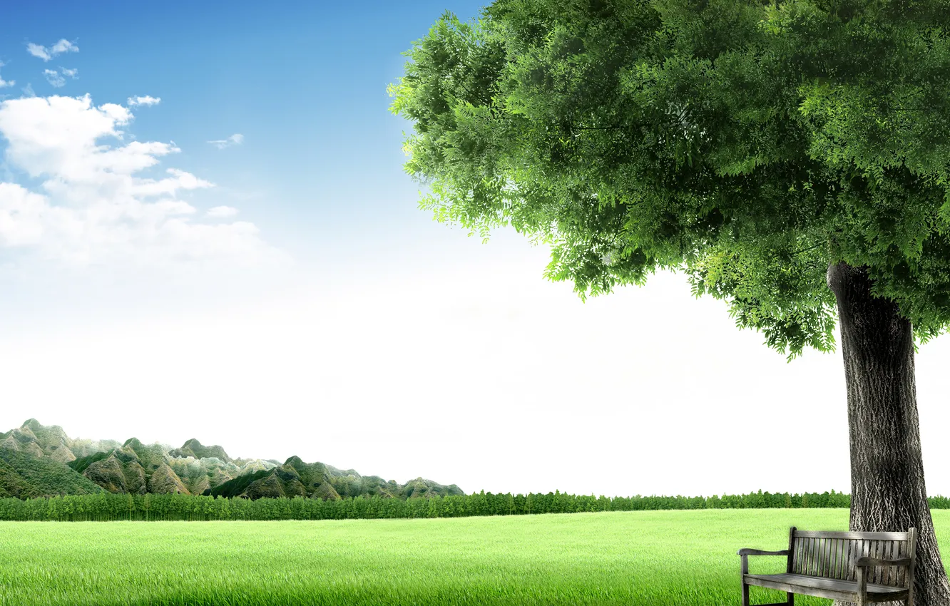 Photo wallpaper greens, the sky, trees, nature, the city, space, the air, widescreen Wallpaper