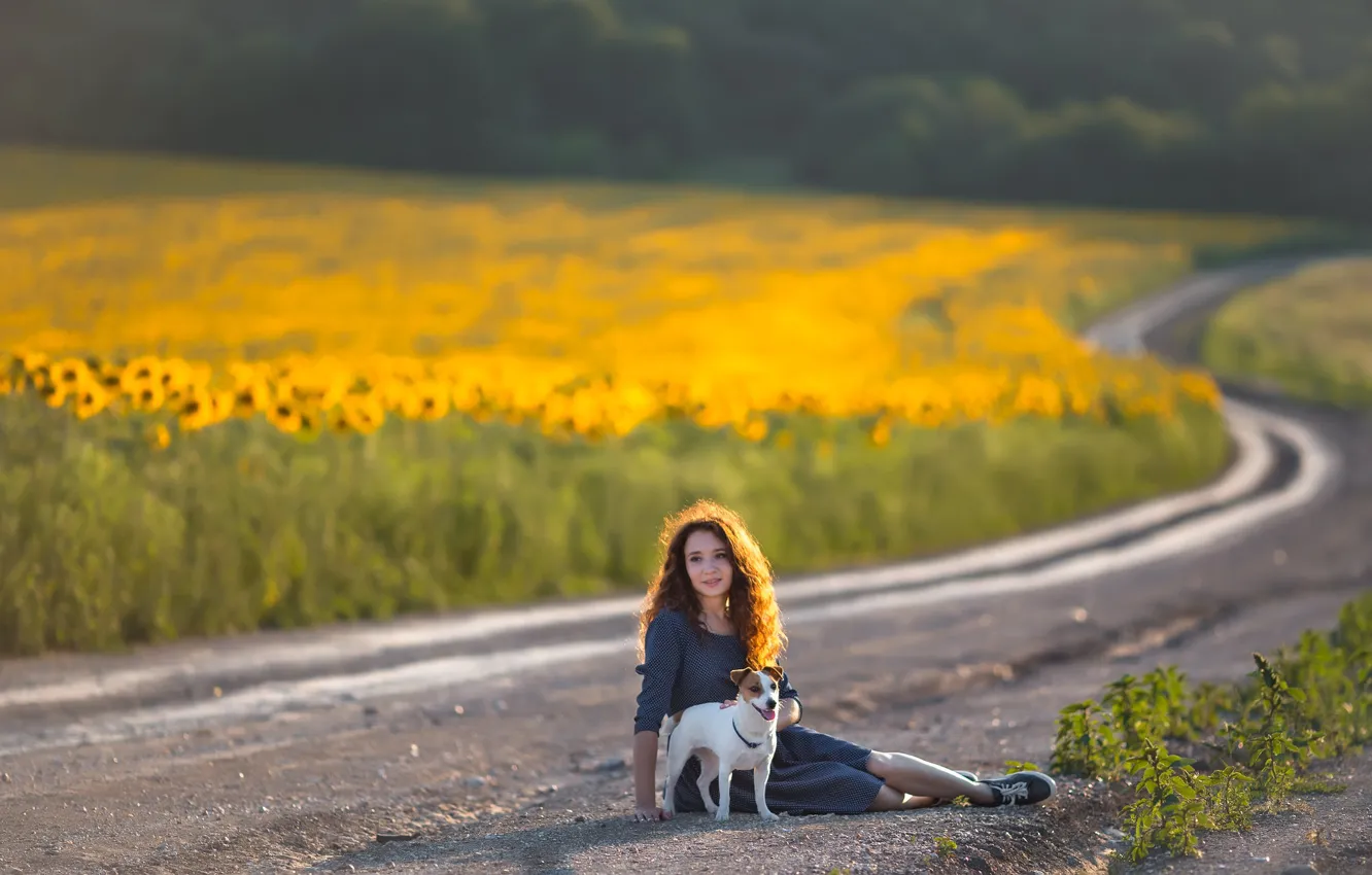Photo wallpaper road, girl, dog, lies