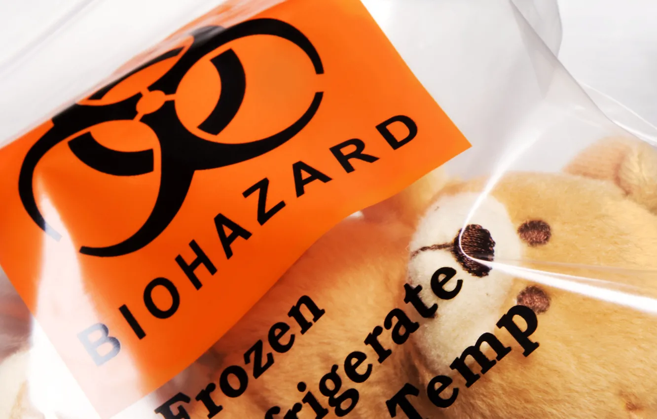 Photo wallpaper toy, package, bear