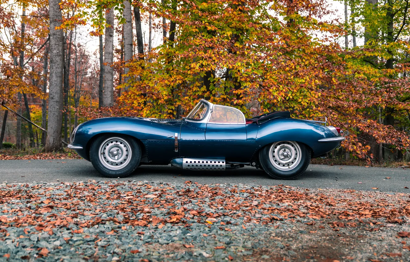 Photo wallpaper Jaguar, side, 1957, XKSS, Jaguar XKSS