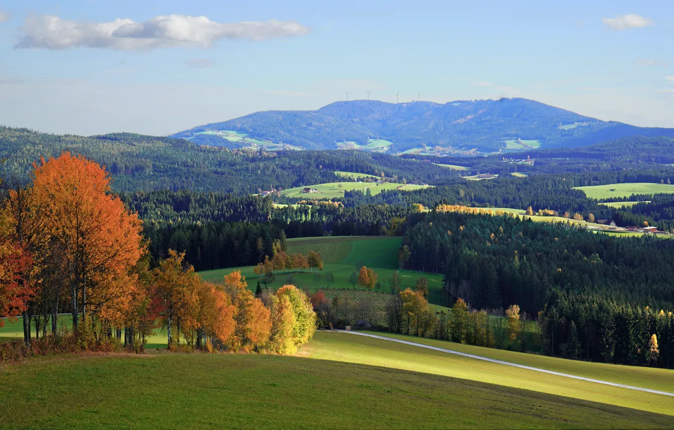 Photo wallpaper autumn, trees, hills