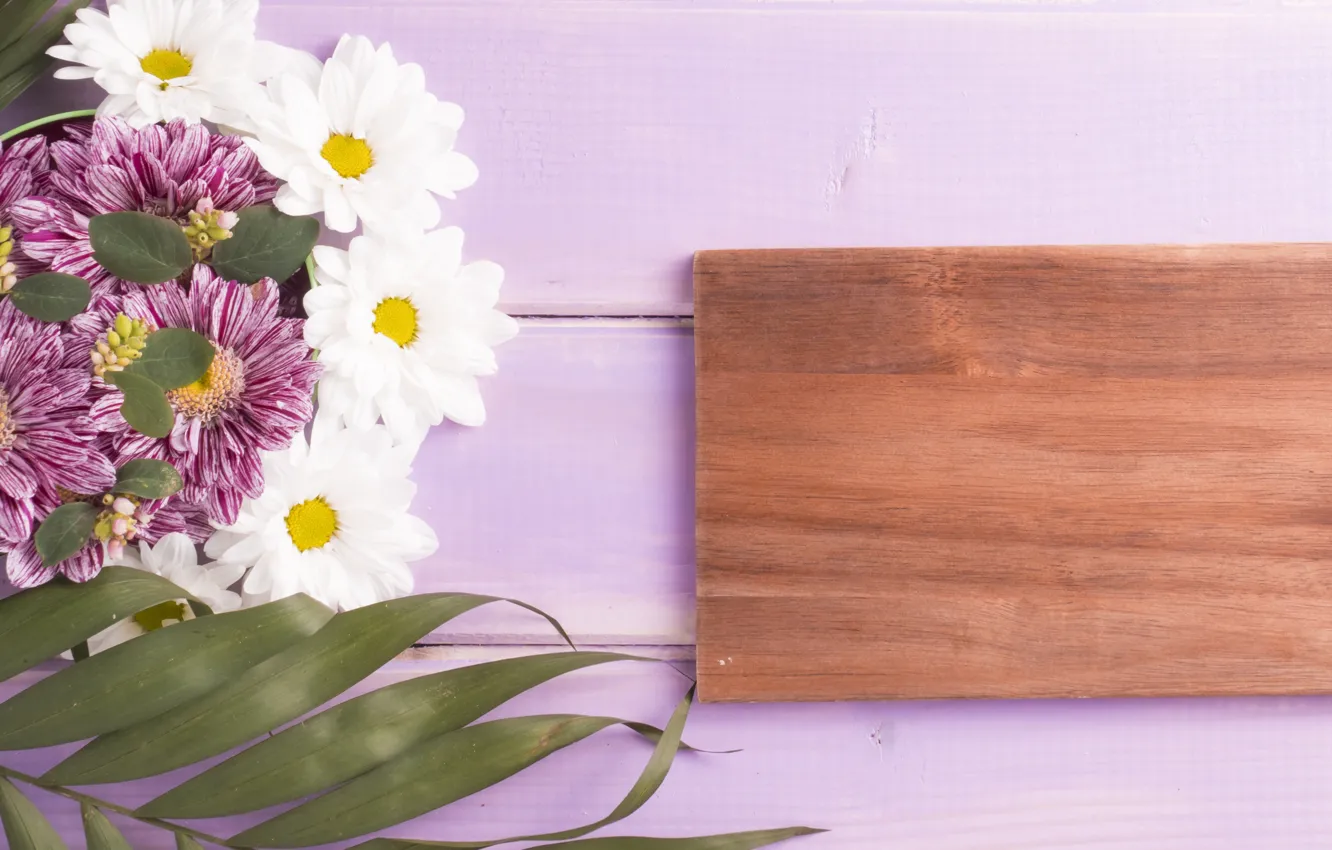 Photo wallpaper leaves, flowers, chrysanthemum