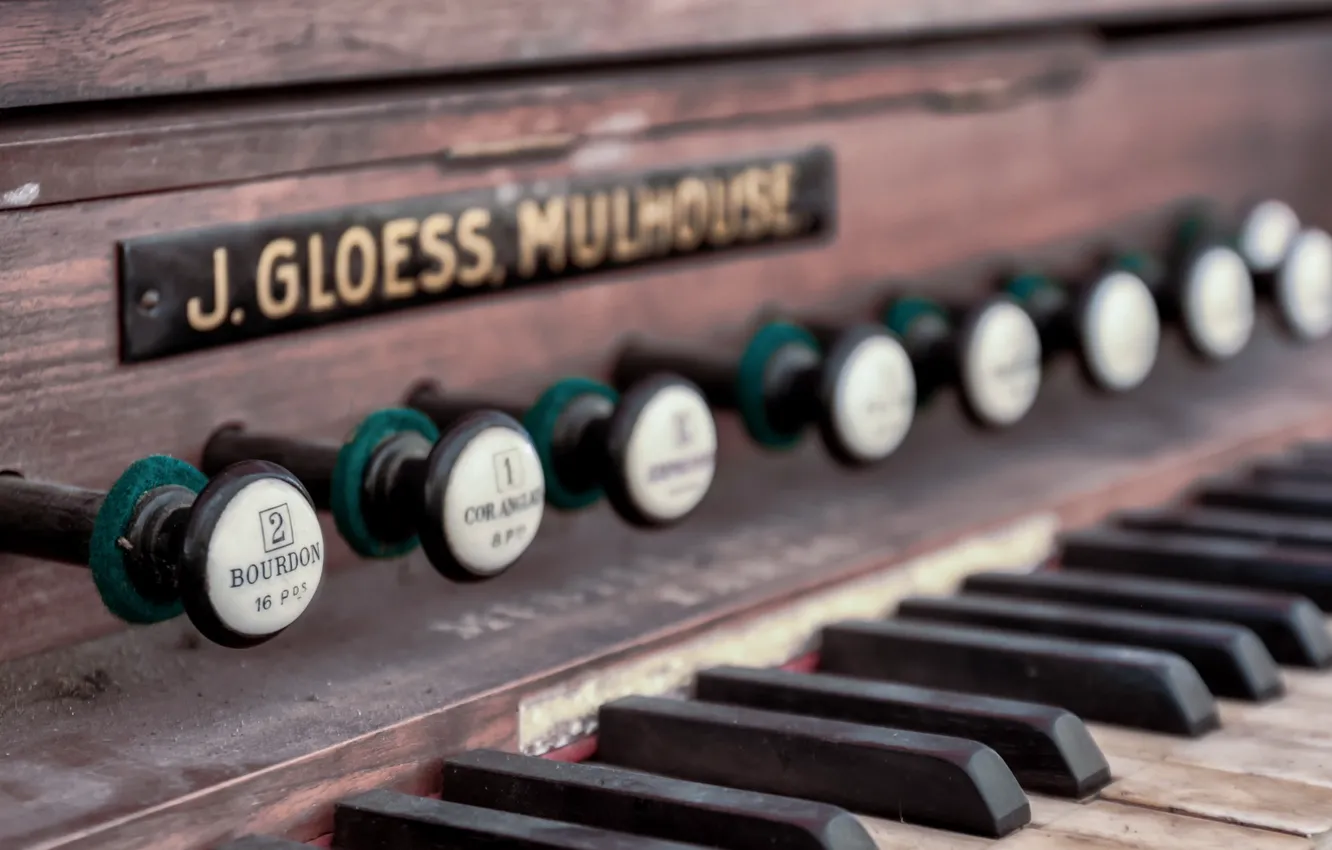 Photo wallpaper music, background, body