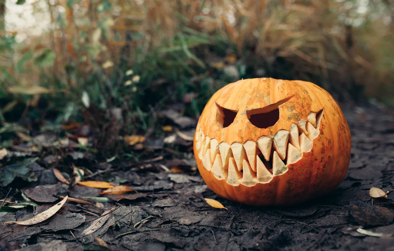 Photo wallpaper autumn, leaves, Halloween, pumpkin, Halloween, autumn, leaves, pumpkin
