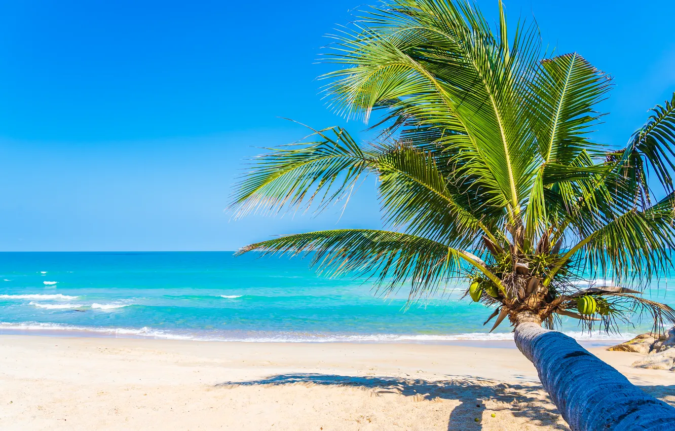 Photo wallpaper sand, sea, wave, beach, summer, the sky, palm trees, shore