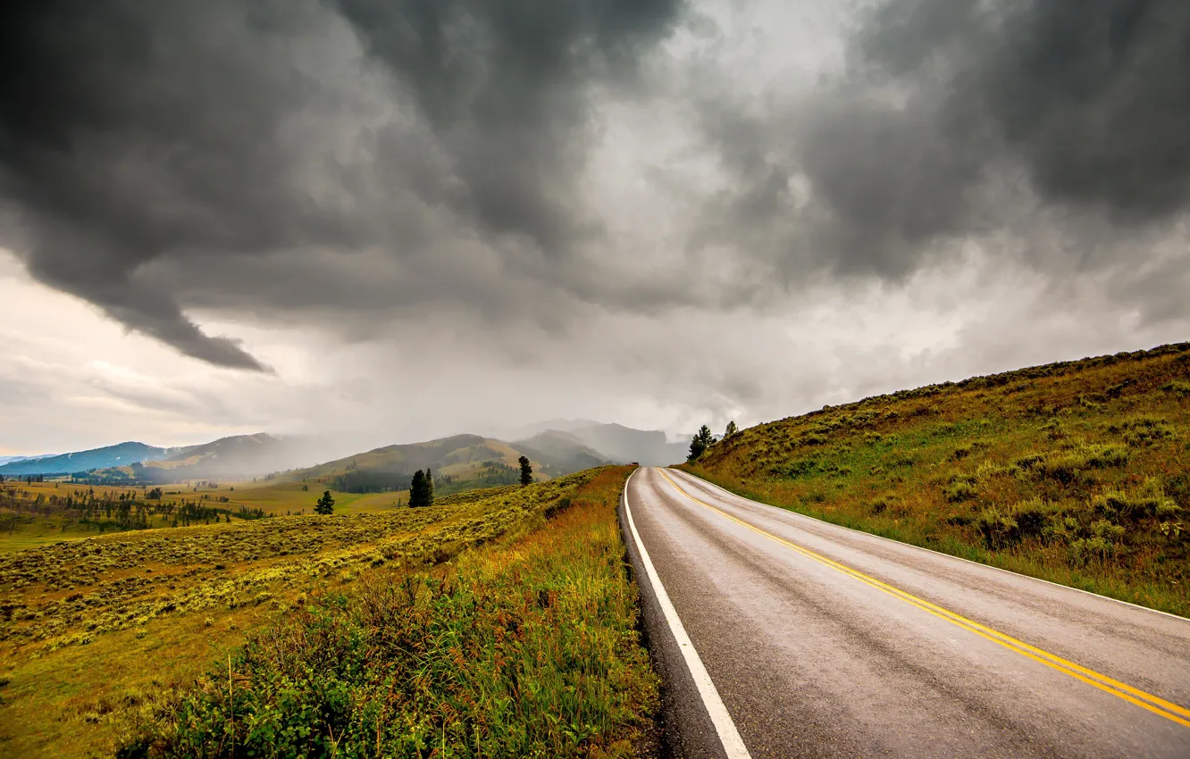 Photo wallpaper road, field, the sky, grass, trees, clouds, fog, the way
