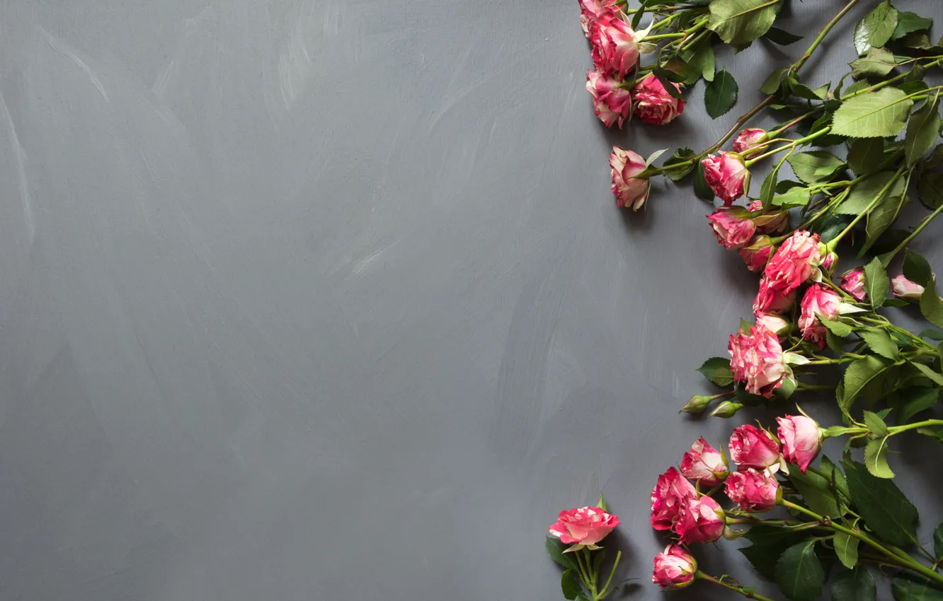 Photo wallpaper flowers, roses, roses, bouguet, Lazhko Svetlana