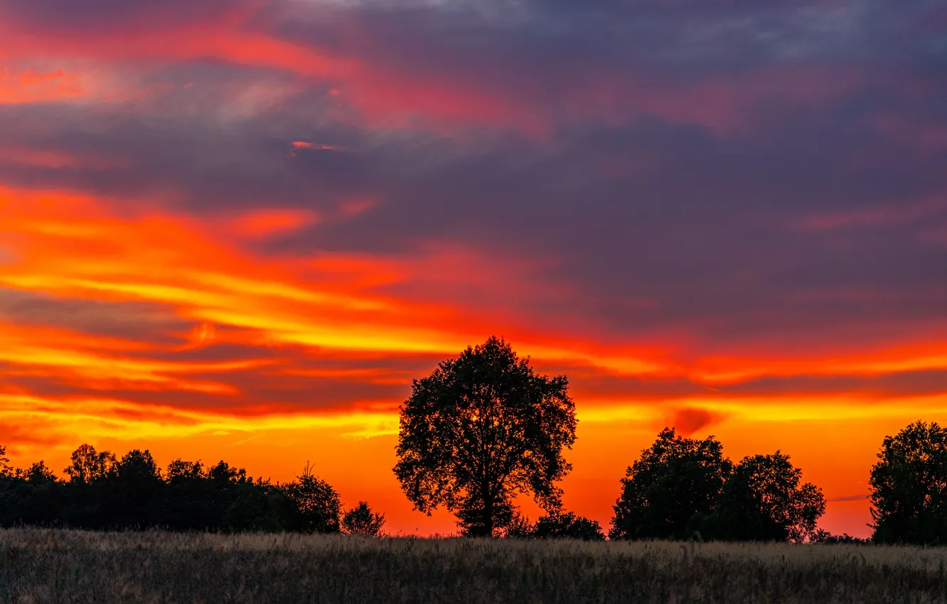 Photo wallpaper summer, landscape, sunset, three