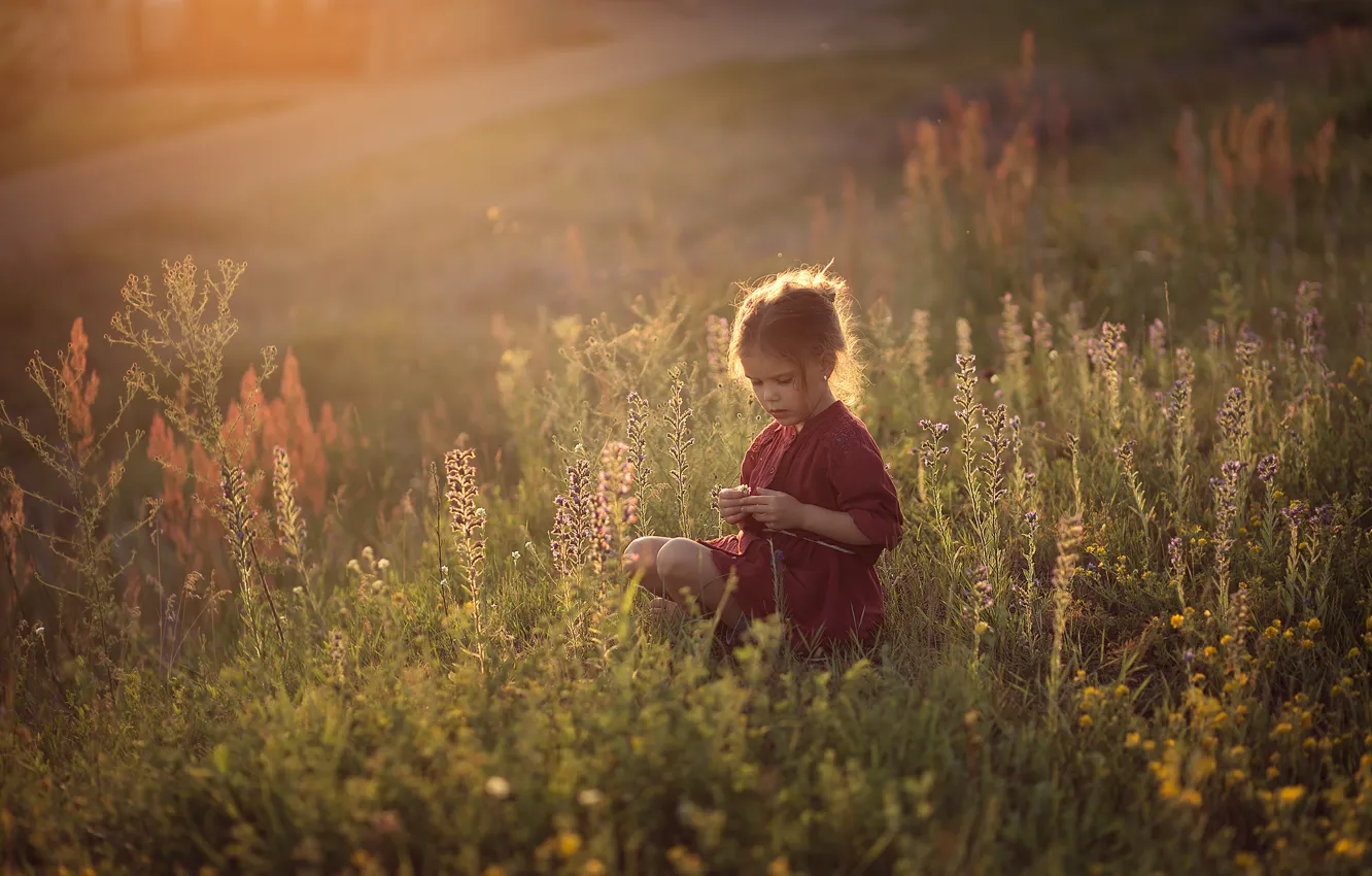 Photo wallpaper field, grass, childhood, girl