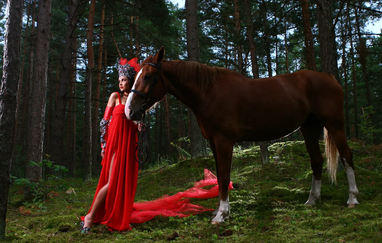 Photo wallpaper look, horse, nature, red dress, girl, in red, horse, forest