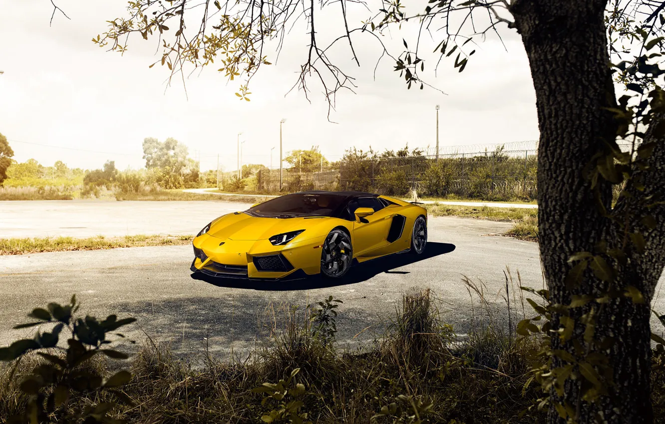 Photo wallpaper Roadster, Lamborghini, Front, Vorsteiner, Yellow, LP700-4, Aventador, Supercar