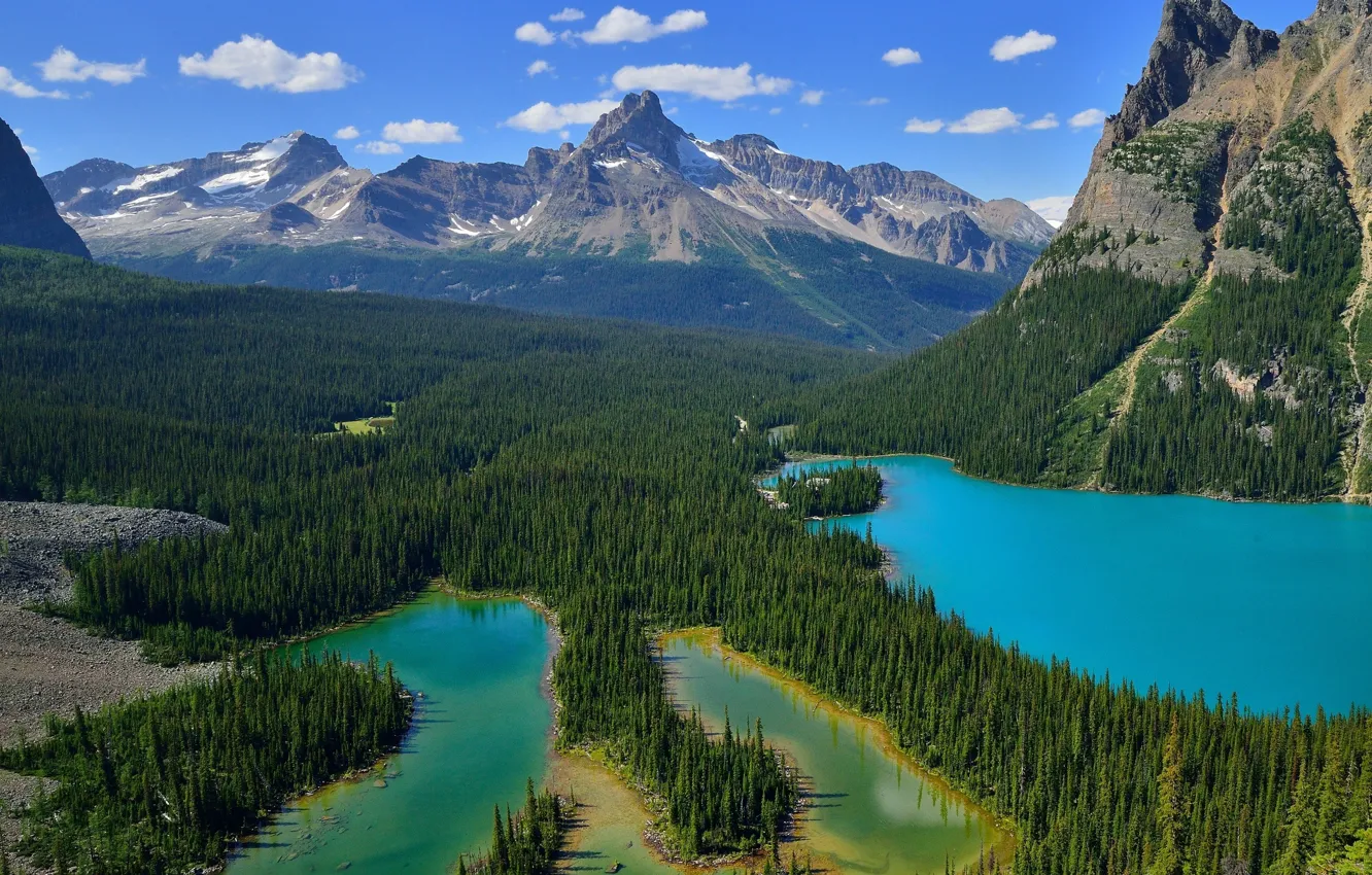 Photo wallpaper forest, landscape, mountains, lake, Canada, Yoho National Park