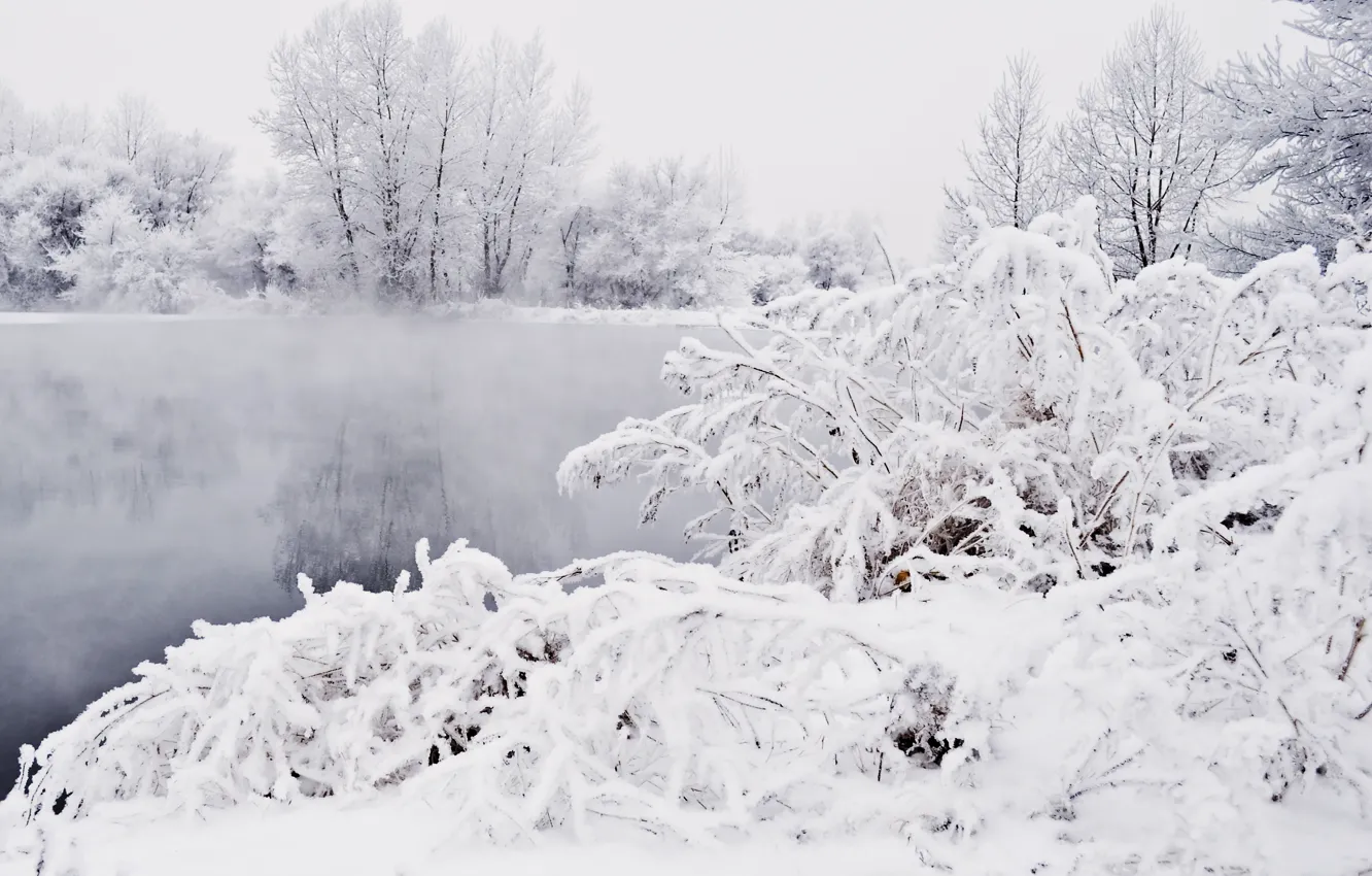 Photo wallpaper Winter, Snow, Pond, Frost, Blizzard, Winter, Frost, Snow