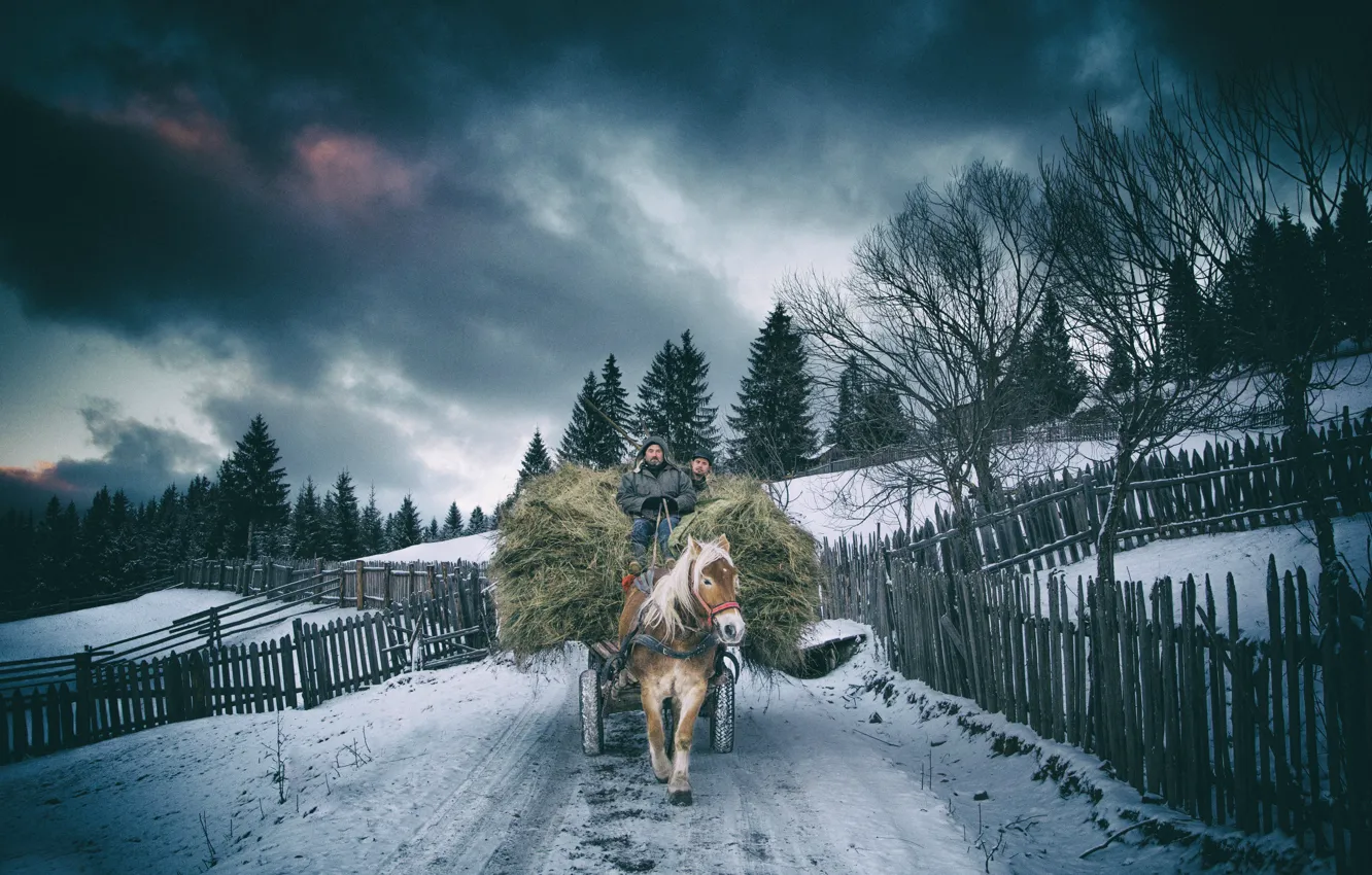 Photo wallpaper winter, horse, village, hay, who