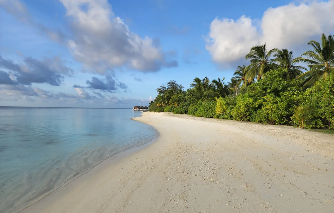 Photo wallpaper the ocean, The Maldives, beach.