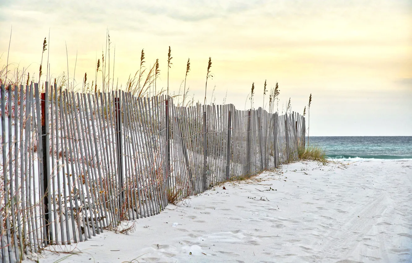 Photo wallpaper sea, beach, shore