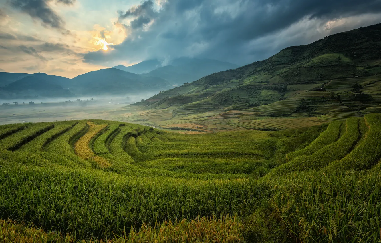 Photo wallpaper field, landscape, nature, slope, figure, terrace