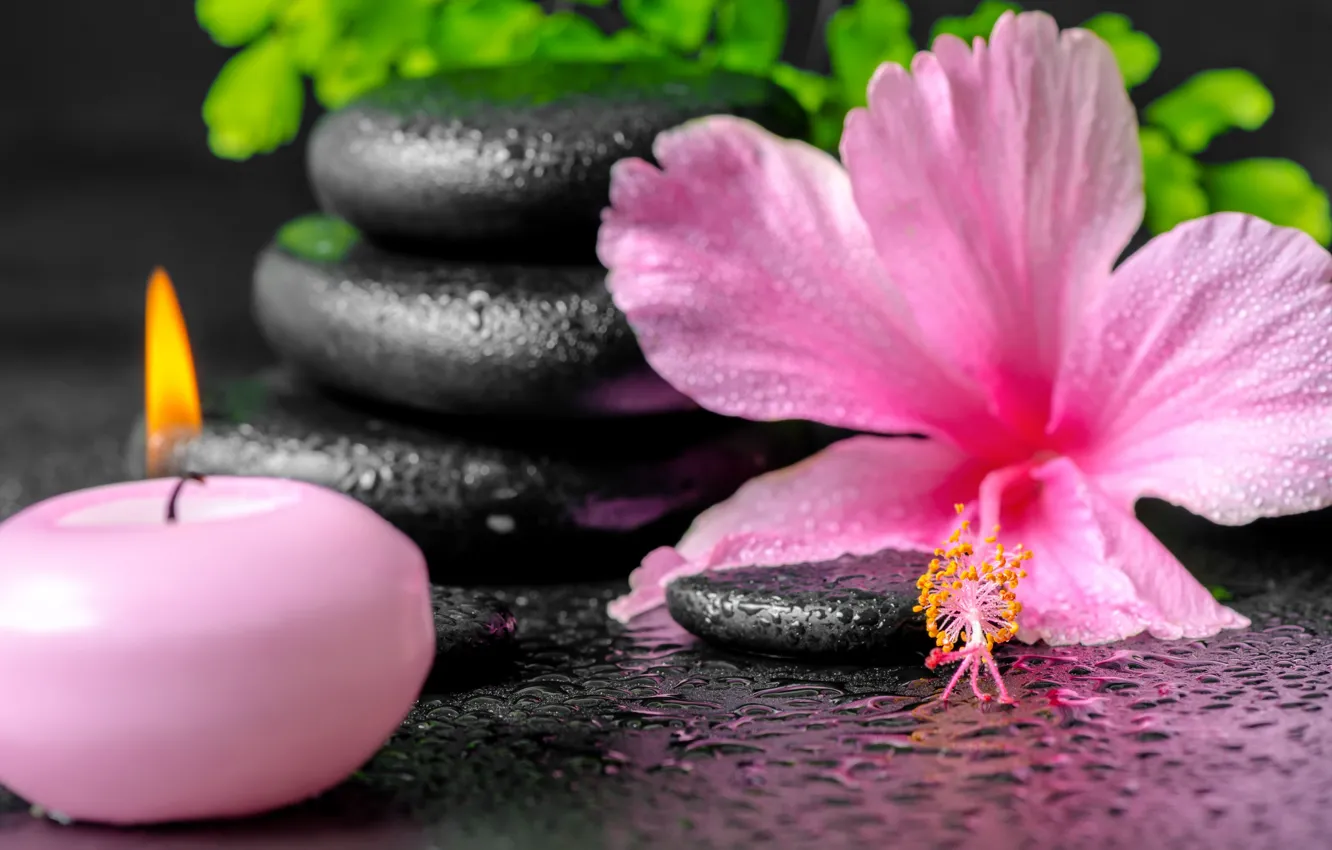 Photo wallpaper flowers, Spa, background, Spa, candles, spa stones
