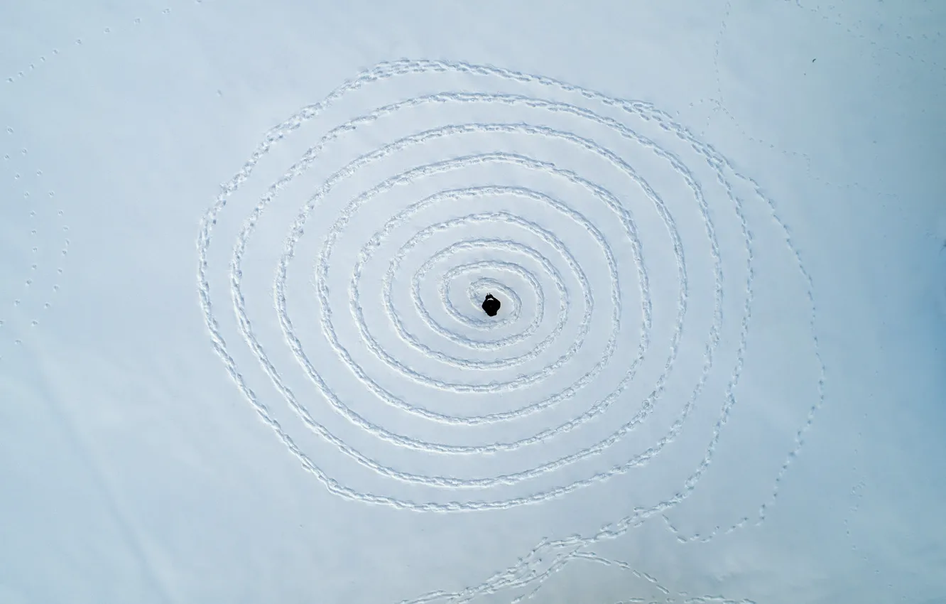 Photo wallpaper winter, snow, traces