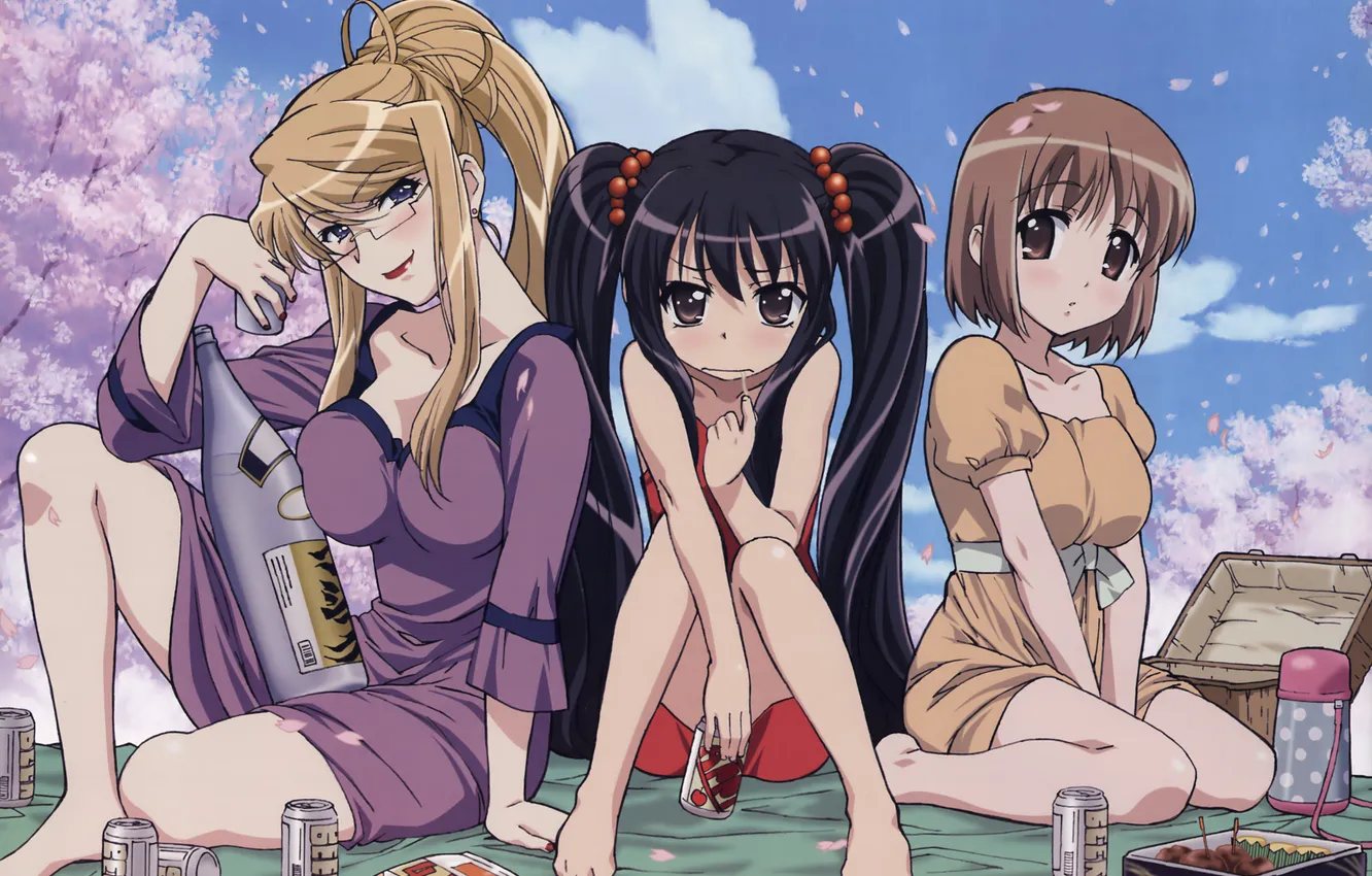 Photo wallpaper the sky, girl, stay, basket, beer, Sakura, juice, picnic