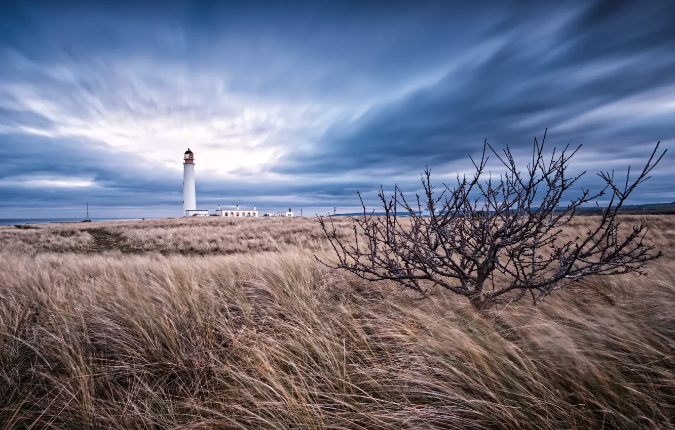 Photo wallpaper field, shore, lighthouse