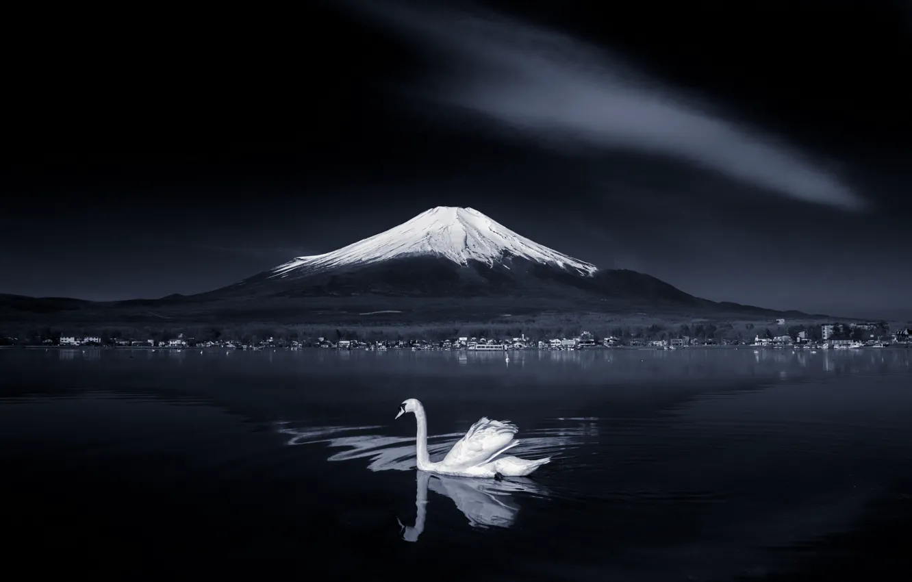 Photo wallpaper white, mountains, the dark background, bird, Japan, swans, pond, Fuji