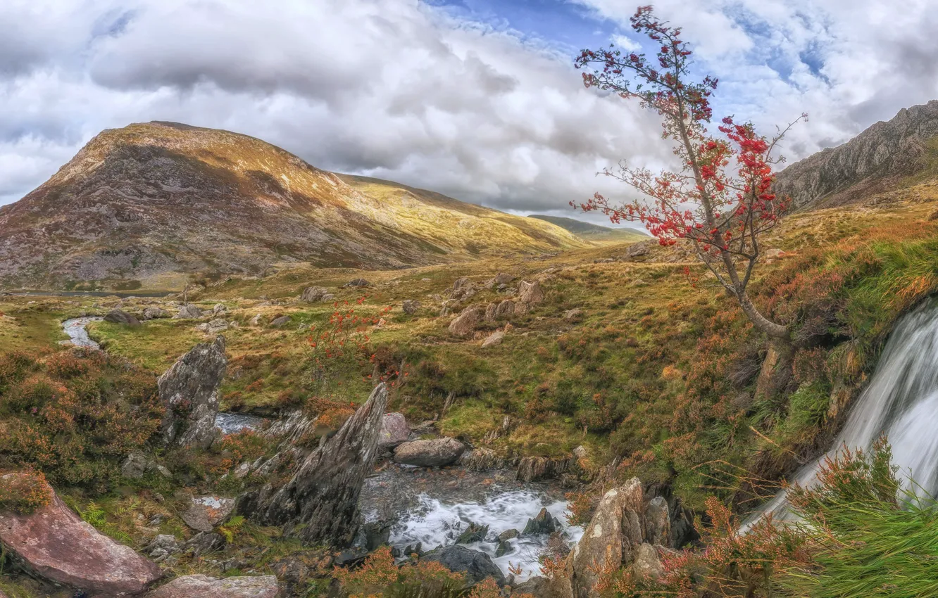 Photo wallpaper landscape, mountains, stream, stones, tree, Wales