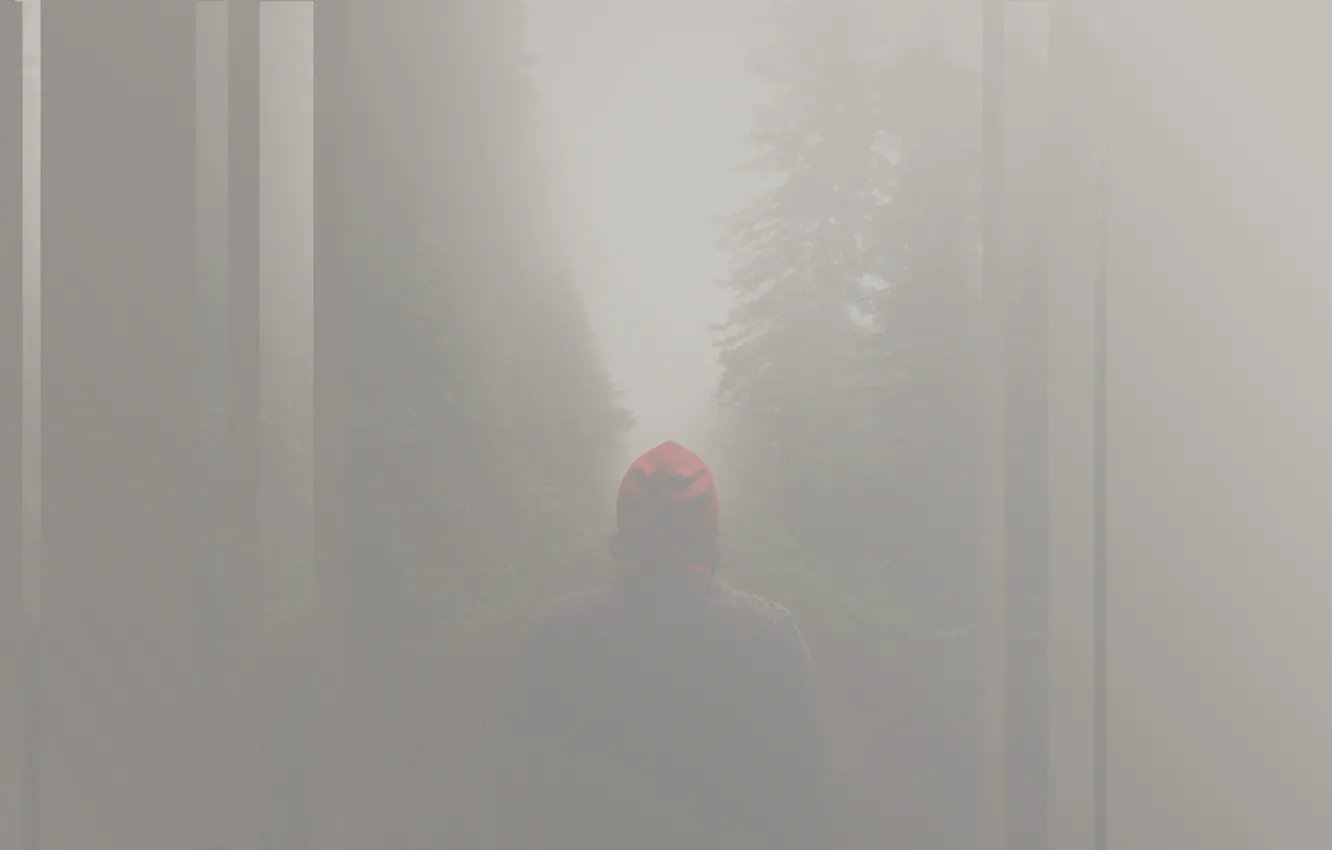 Photo wallpaper fog, strip, silhouette