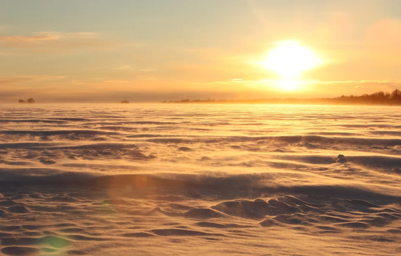 Photo wallpaper field, the sky, clouds, light, snow, trees, sunset, lights