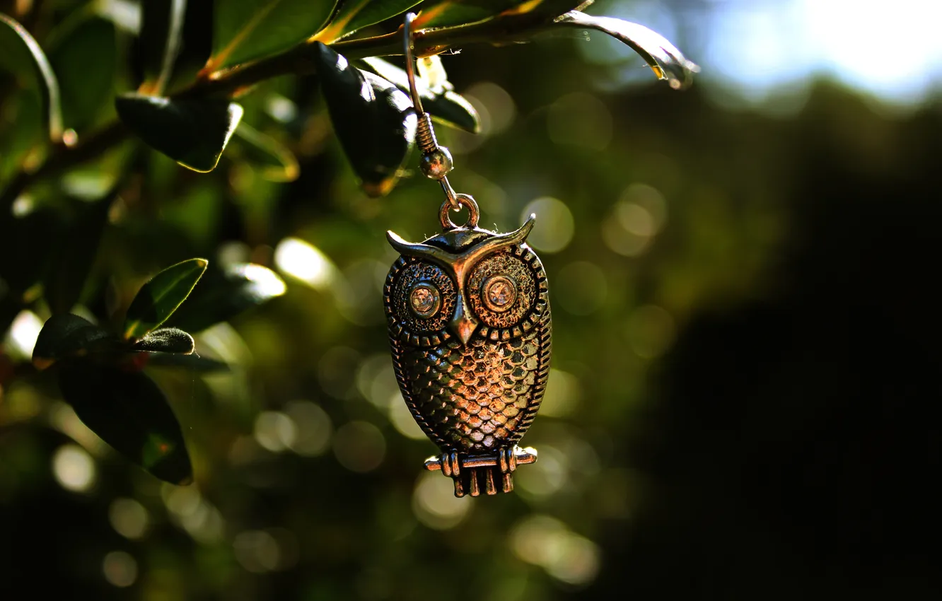 Photo wallpaper leaves, owl, pendant