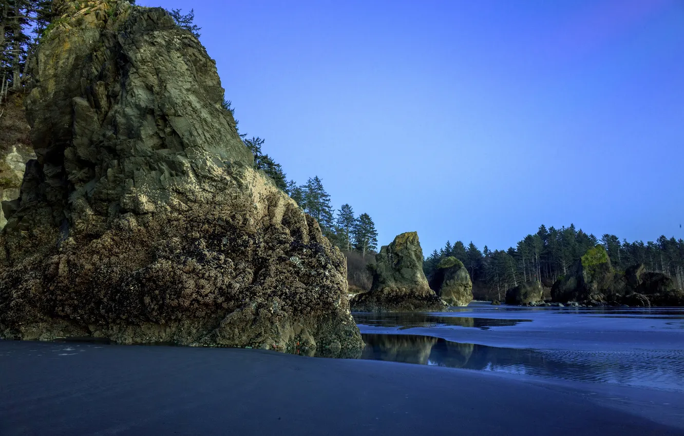 Photo wallpaper sand, beach, trees, stones, rocks, the evening, Washington, USA