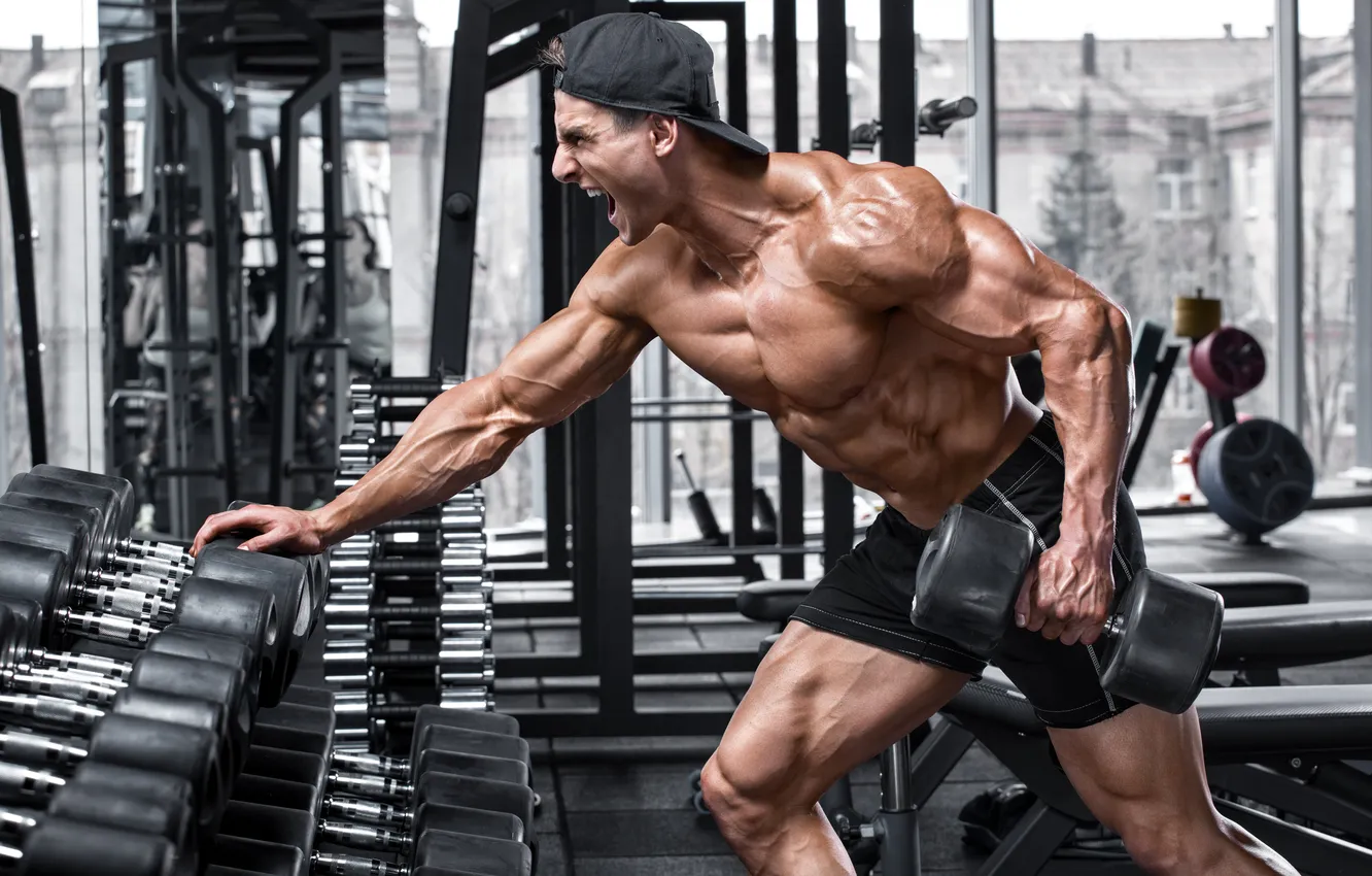 Photo wallpaper body, chest, bodybuilding, dumbbell, biceps, bodybuilder, diet