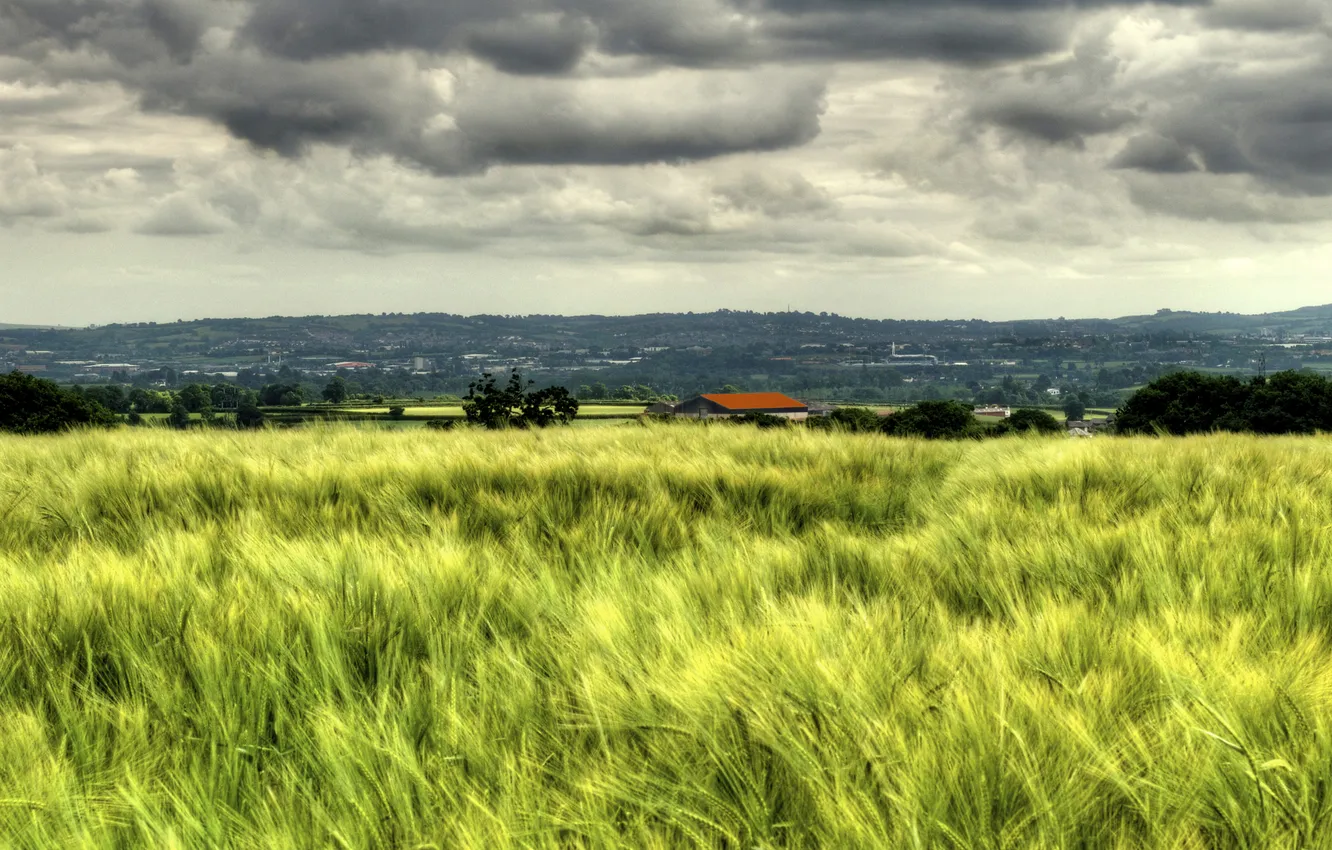 Photo wallpaper field, summer, the sky, clouds, hills, view, rye, dal