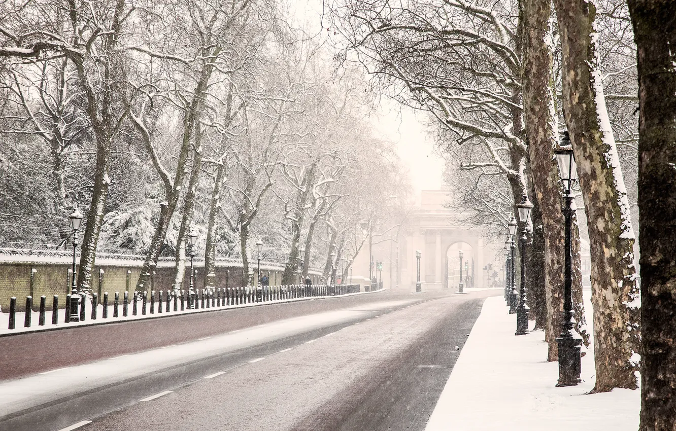 Photo wallpaper winter, road, snow, trees, England, London, lights, London