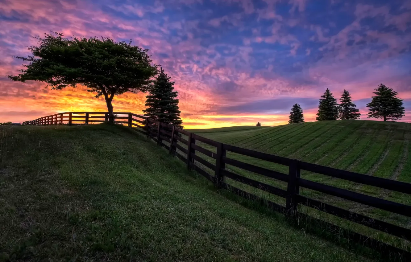Photo wallpaper field, the sky, clouds, trees, the fence