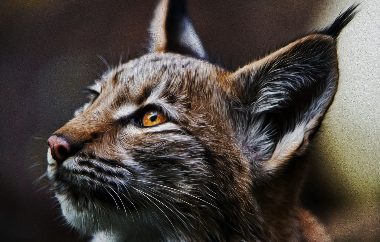 Photo wallpaper portrait, predator, Lynx
