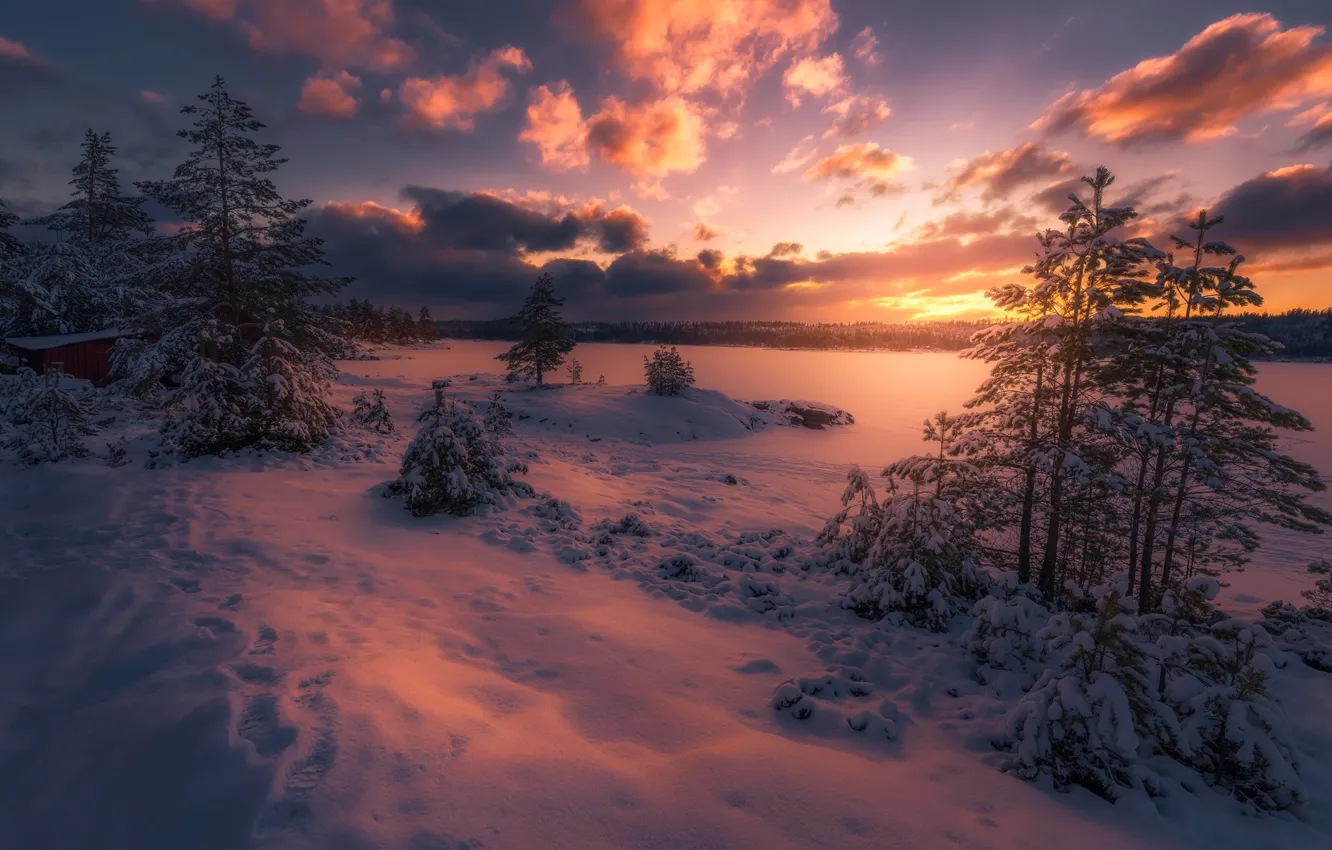 Photo wallpaper winter, forest, the sky, clouds, snow, trees, sunset, Norway