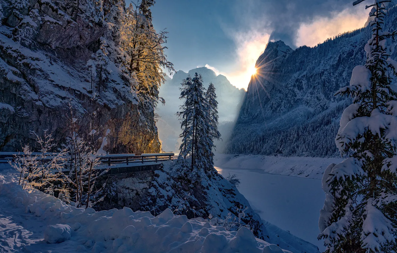 Photo wallpaper winter, frost, forest, the sun, snow, mountains, branches, nature