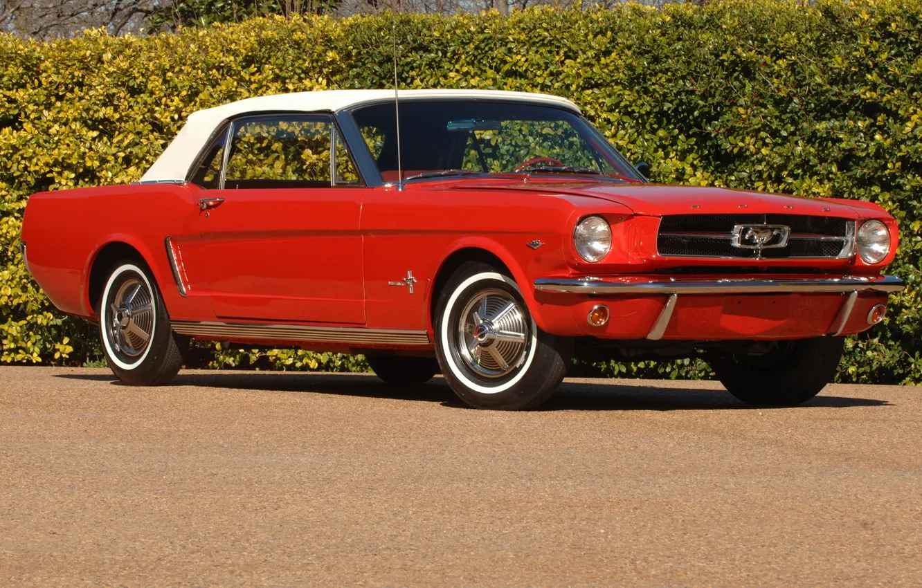 Photo wallpaper red, horse, Mustang, classic, 1964, Convertible, the soft top