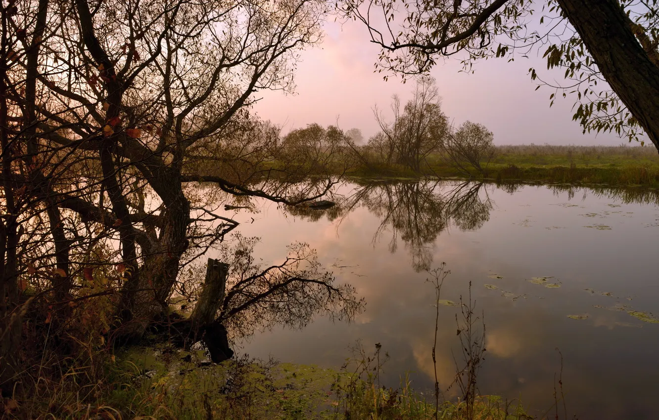 Photo wallpaper nature, river, the evening