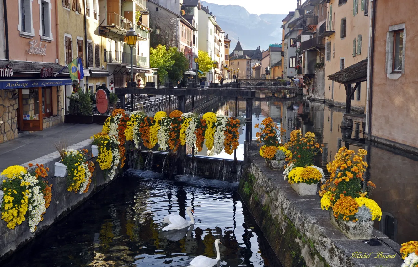 Photo wallpaper river, home, swans, France, Annecy
